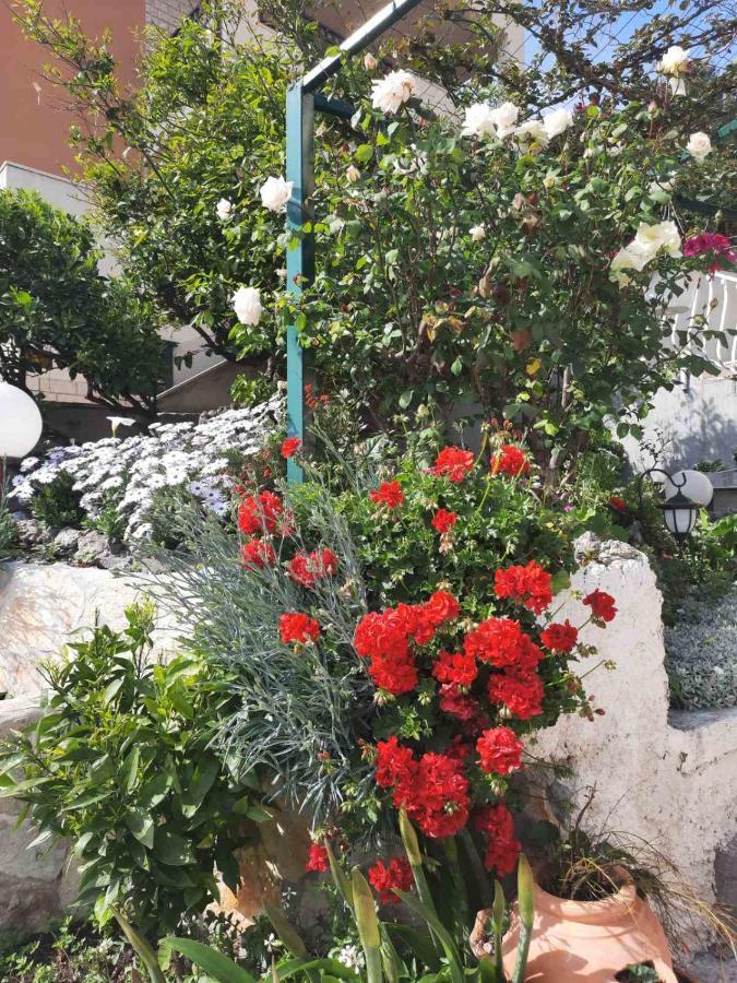 Apartment D&M1 Makarska Ngoại thất bức ảnh