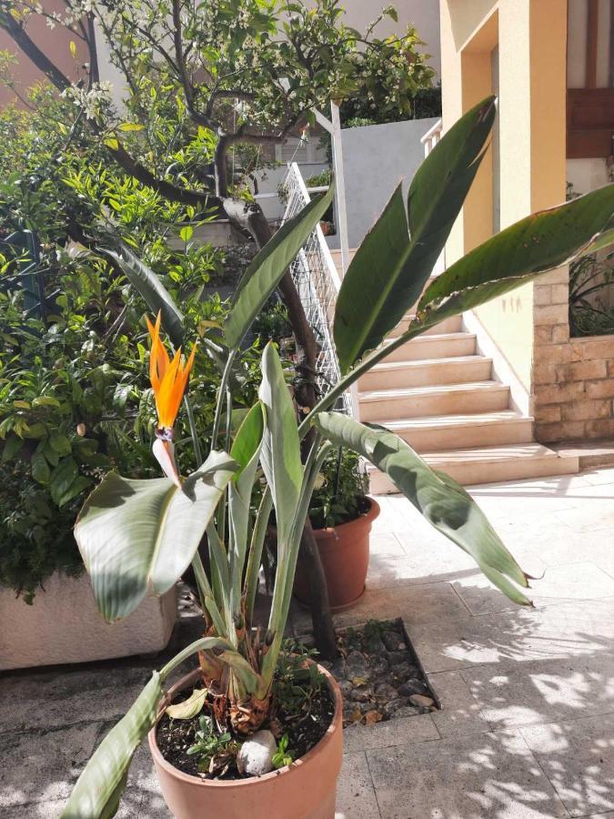 Apartment D&M1 Makarska Ngoại thất bức ảnh